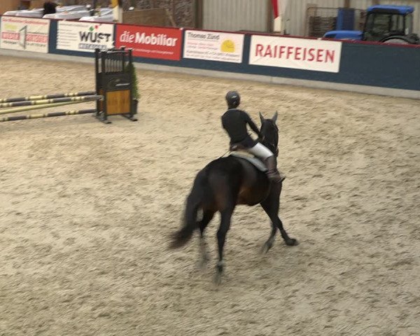Pferdesporttage Oberriet 2018