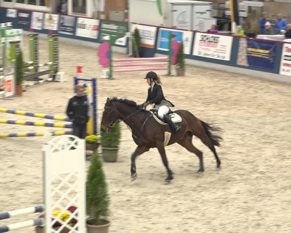 Pferdesporttage Oberriet 2018