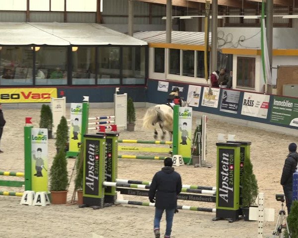 Pferdesporttage Oberriet 2018