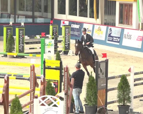 Pferdesporttage Oberriet 2018