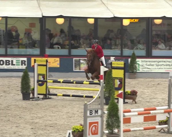 Pferdesporttage Oberriet 2018