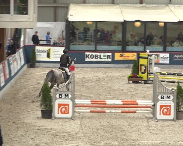 Pferdesporttage Oberriet 2018
