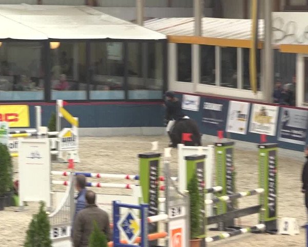 Pferdesporttage Oberriet 2018