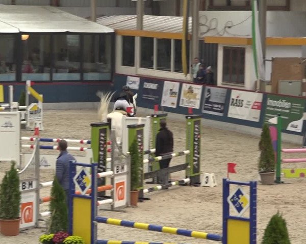 Pferdesporttage Oberriet 2018