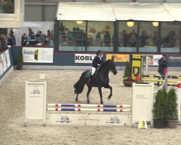 Pferdesporttage Oberriet 2018