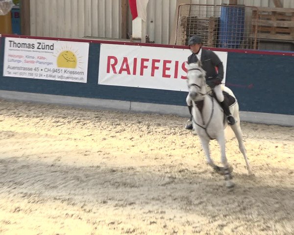 Pferdesporttage Oberriet 2018