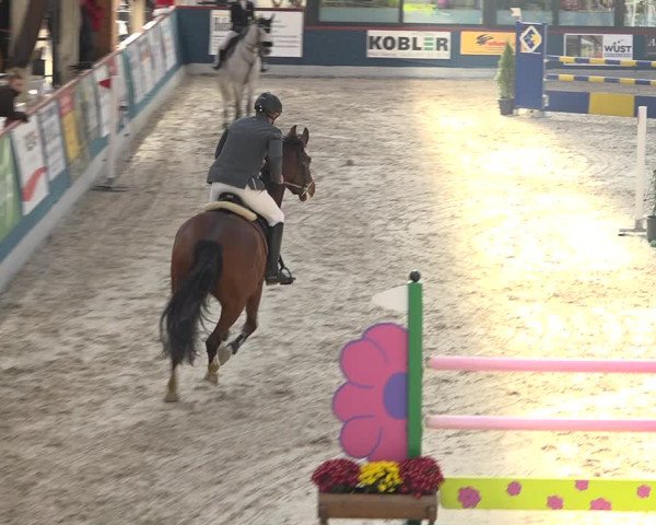 Pferdesporttage Oberriet 2018