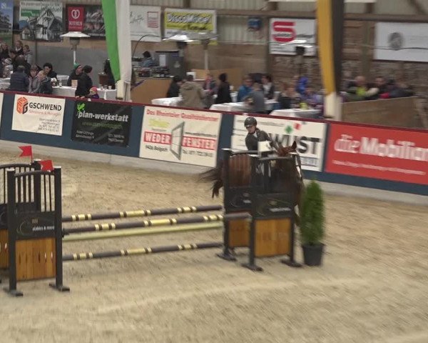 Pferdesporttage Oberriet 2018