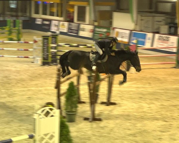 Pferdesporttage Oberriet 2018