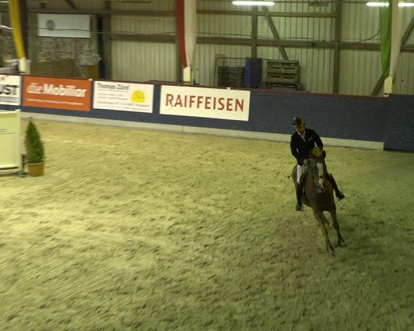 Pferdesporttage Oberriet 2018