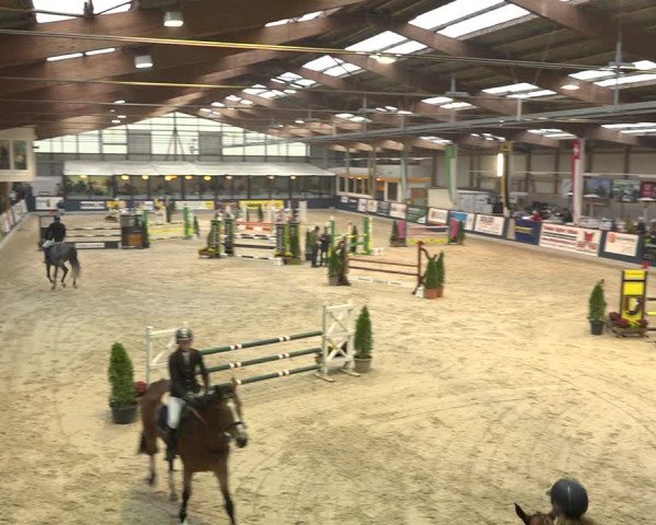 Pferdesporttage Oberriet 2018