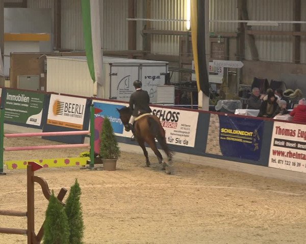 Pferdesporttage Oberriet 2018