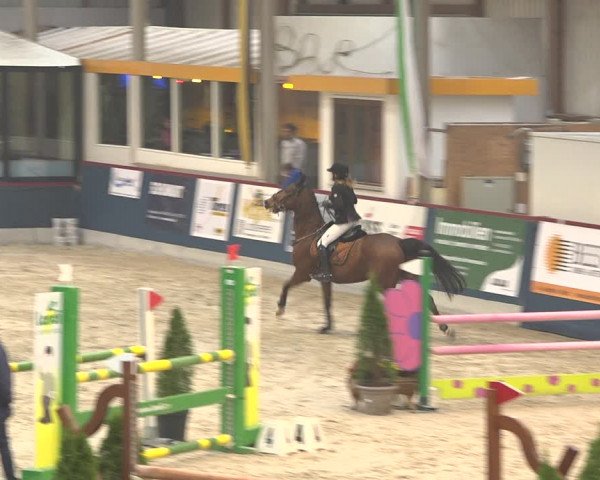 Pferdesporttage Oberriet 2018