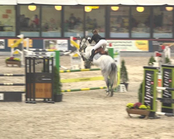 Pferdesporttage Oberriet 2018