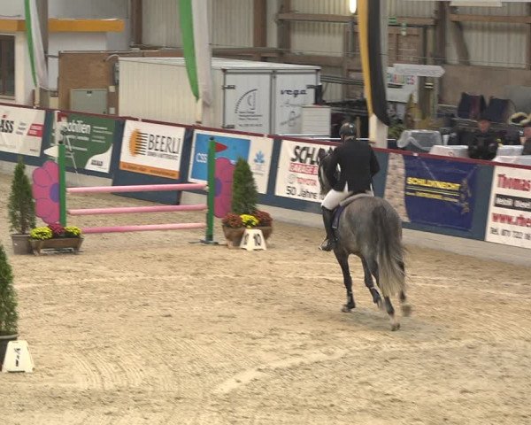 Pferdesporttage Oberriet 2018
