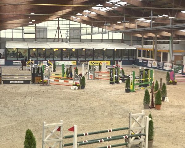 Pferdesporttage Oberriet 2018