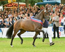 dressage horse Nexolia Fiesta Danza OLD (Oldenburg, 2012, from Fürstenball)