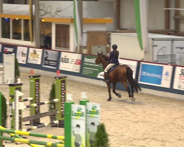 Pferdesporttage Oberriet 2018