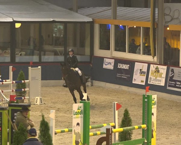 Pferdesporttage Oberriet 2018
