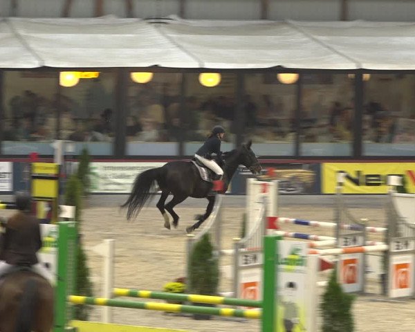 Pferdesporttage Oberriet 2018