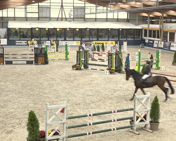 Pferdesporttage Oberriet 2018