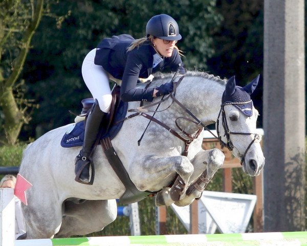 jumper Boss 35 (KWPN (Royal Dutch Sporthorse), 2006, from Indorado)