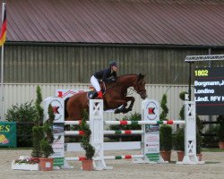 jumper Londino (Oldenburg, 2007, from Lordanos)