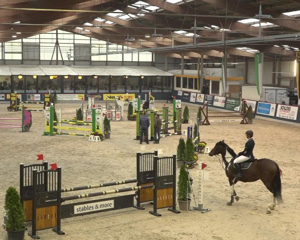 Pferdesporttage Oberriet 2018
