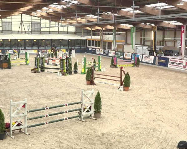Pferdesporttage Oberriet 2018