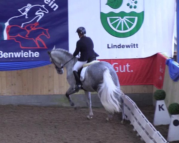 Reitturnier Großenwiehe 2018