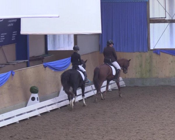 Reitturnier Großenwiehe 2018