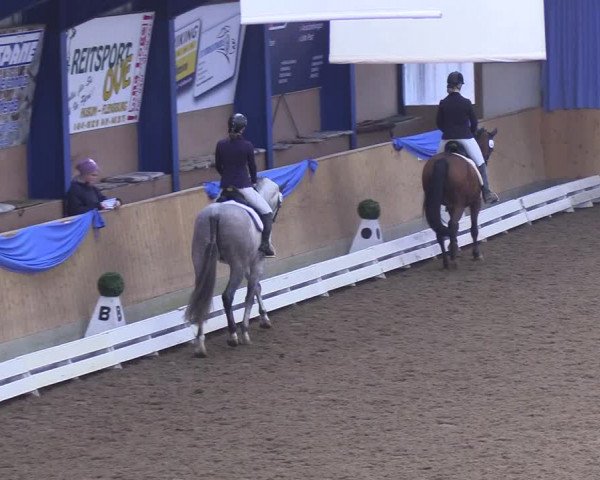 Reitturnier Großenwiehe 2018