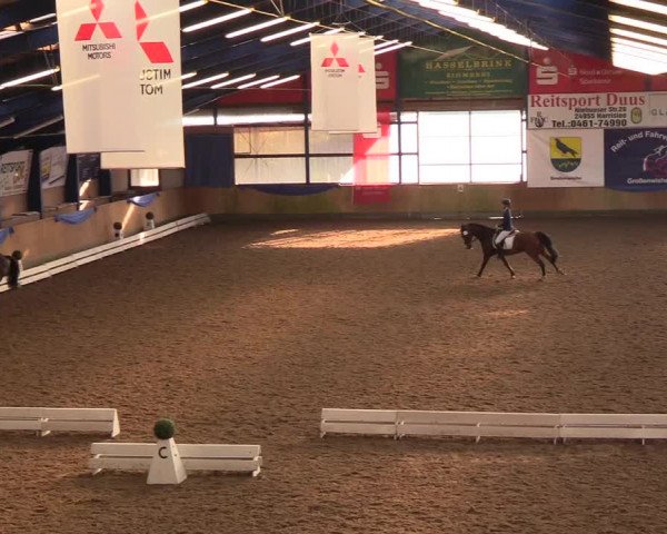 Reitturnier Großenwiehe 2018