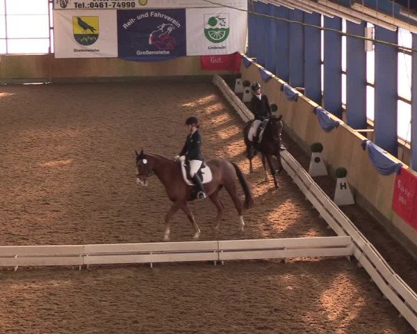 Reitturnier Großenwiehe 2018