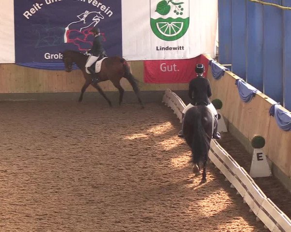 Reitturnier Großenwiehe 2018