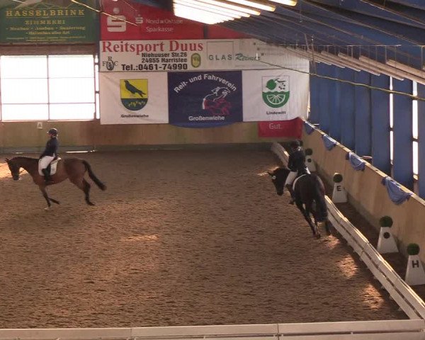Reitturnier Großenwiehe 2018