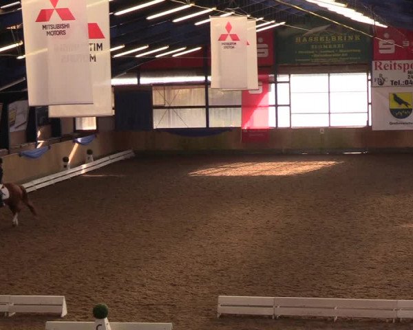 Reitturnier Großenwiehe 2018