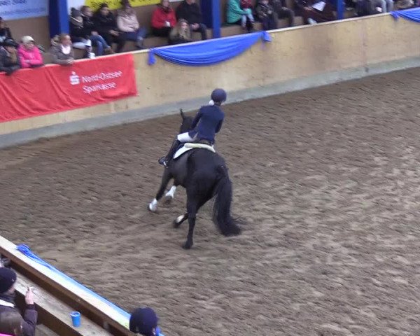 Reitturnier Großenwiehe 2018