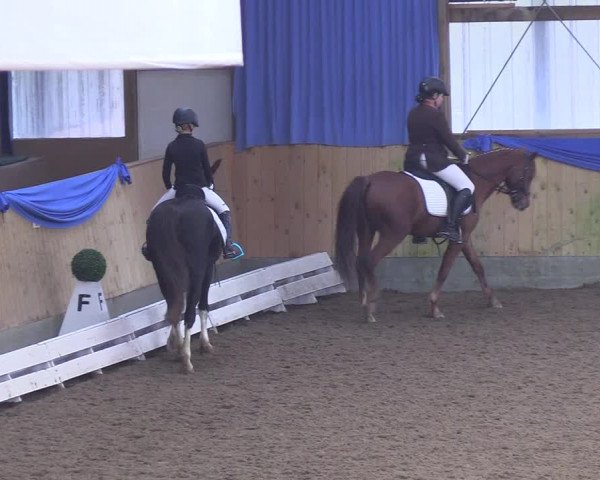 Reitturnier Großenwiehe 2018