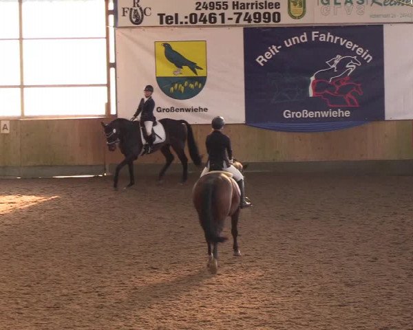Reitturnier Großenwiehe 2018