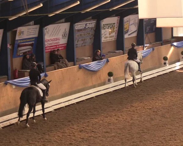 Reitturnier Großenwiehe 2018