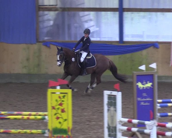 Reitturnier Großenwiehe 2018