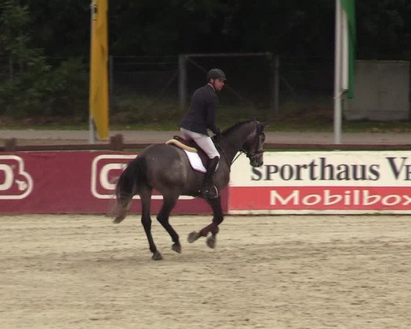Reitturnier Westergellersen 2021