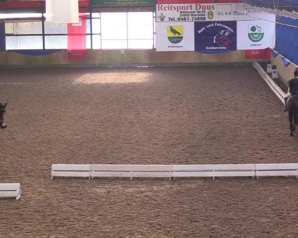 Reitturnier Großenwiehe 2018
