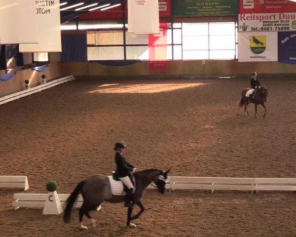 Reitturnier Großenwiehe 2018