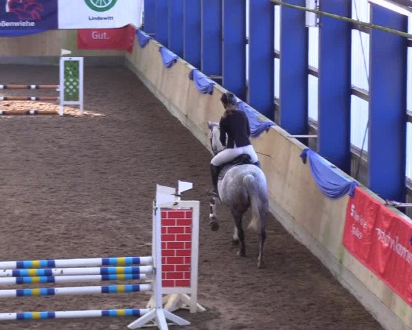 Reitturnier Großenwiehe 2018