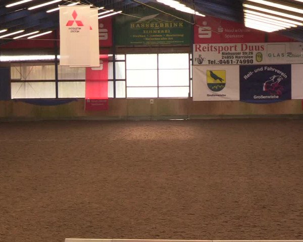 Reitturnier Großenwiehe 2018