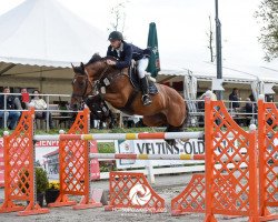 broodmare Carissima 28 (Zangersheide riding horse, 2010, from Cancara)
