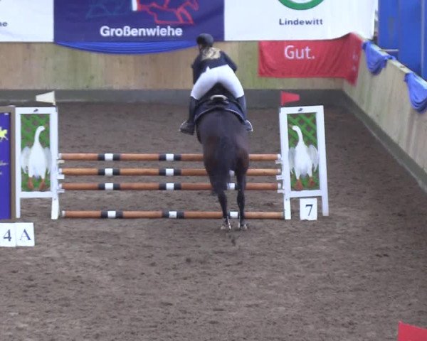 Reitturnier Großenwiehe 2018