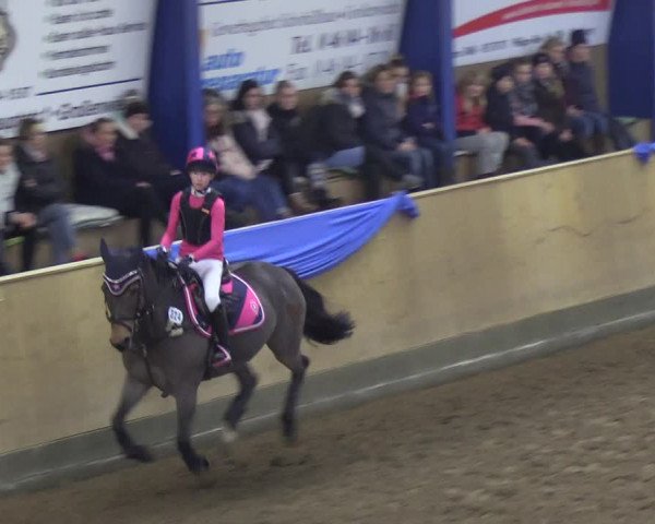 Reitturnier Großenwiehe 2018